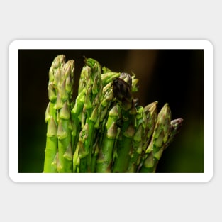 Asparagus Sticker